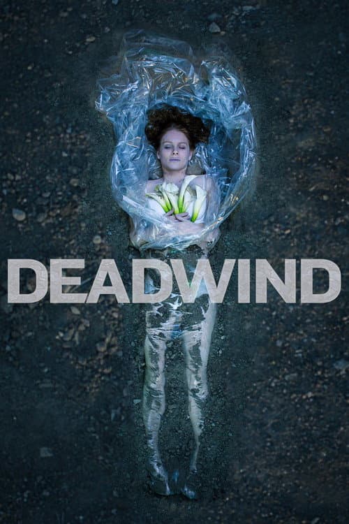 Affiche de Deadwind