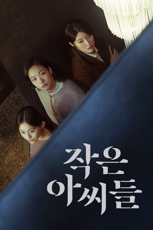 Affiche de Little Women