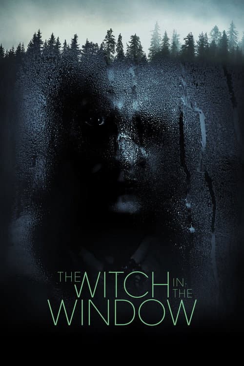 Affiche de The Witch in the Window