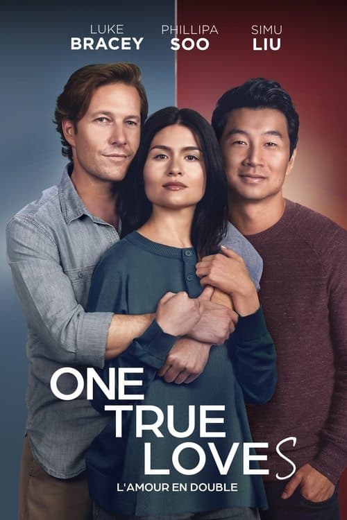 Affiche de L'amour en double