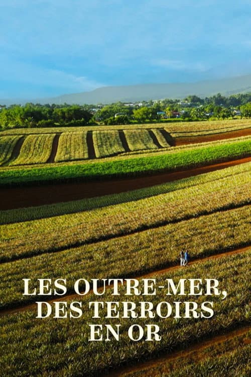 Affiche de Les Outre-mer, des terroirs en or
