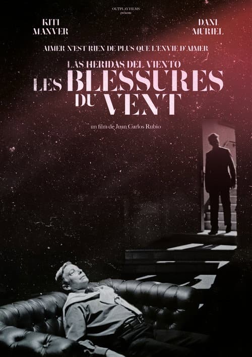 Affiche de Les Blessures du Vent