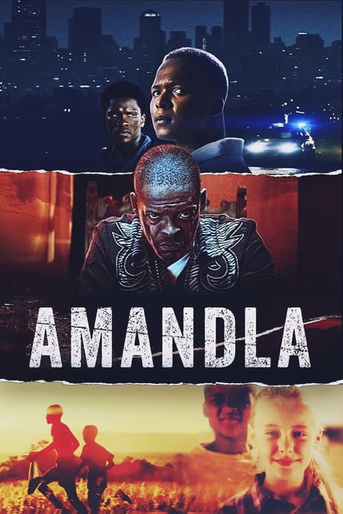 Affiche de Amandla