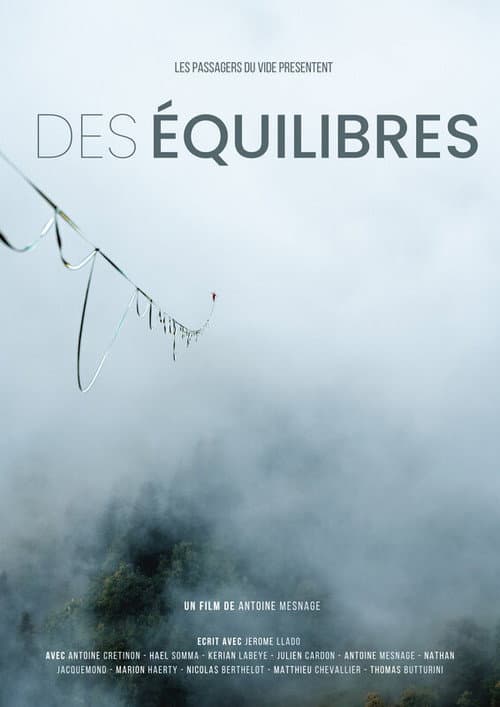 Affiche de Des équilibres