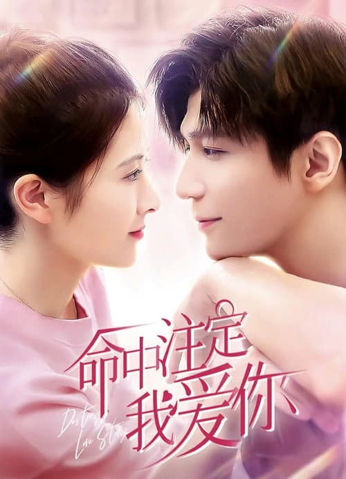 Affiche de 命中注定我爱你