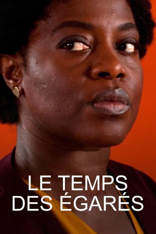Affiche de Le temps des égarés