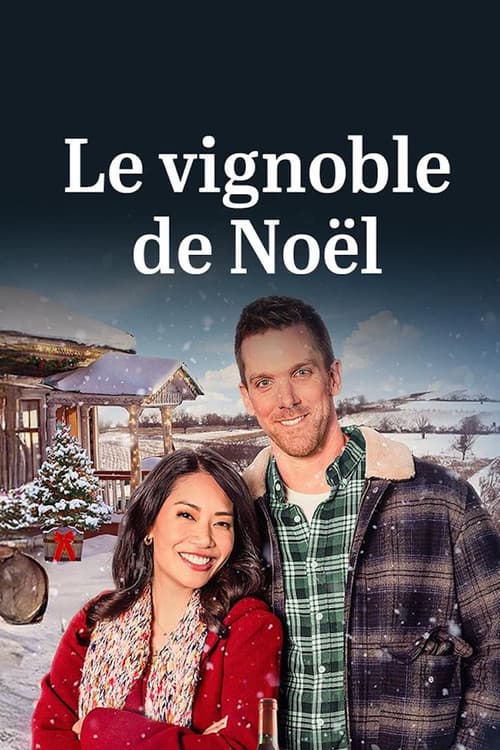 Affiche de Le vignoble de Noël