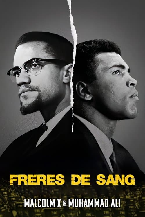 Affiche de Frères de sang: Malcolm X et Mohamed Ali