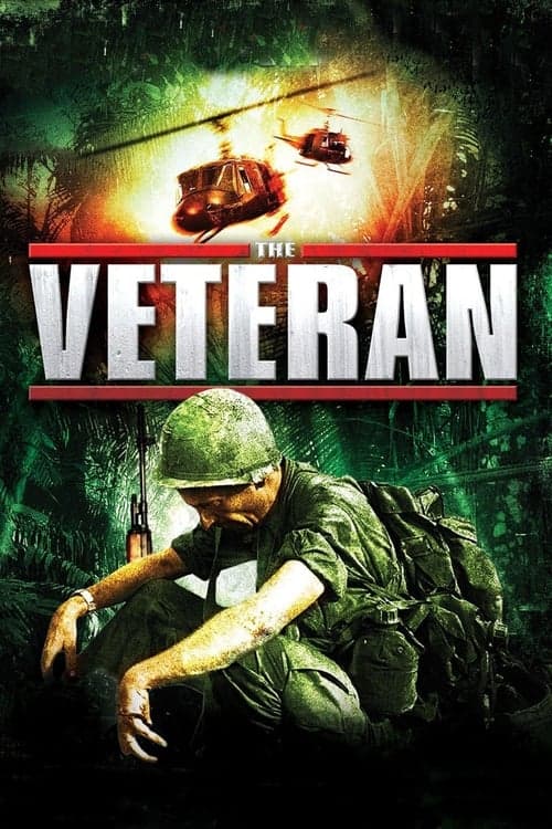 Affiche de The Veteran