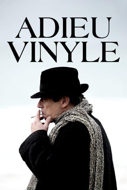 Affiche de Adieu vinyle