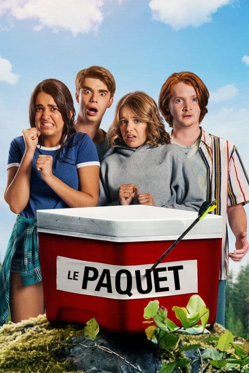 Affiche de Le Paquet