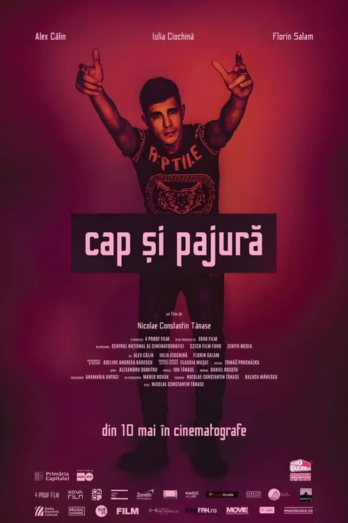 Affiche de Casse-tête
