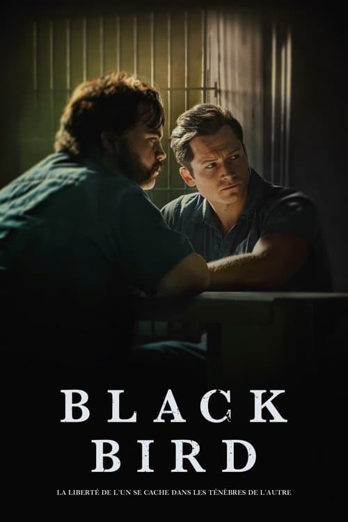 Affiche de Black Bird