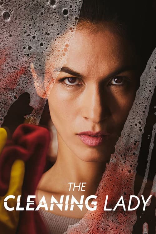 Affiche de The Cleaning Lady