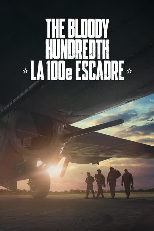 Affiche de The Bloody Hundredth : la 100e escadre