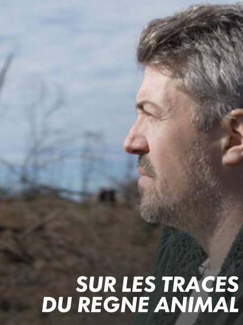 Affiche de Sur les traces du règne animal