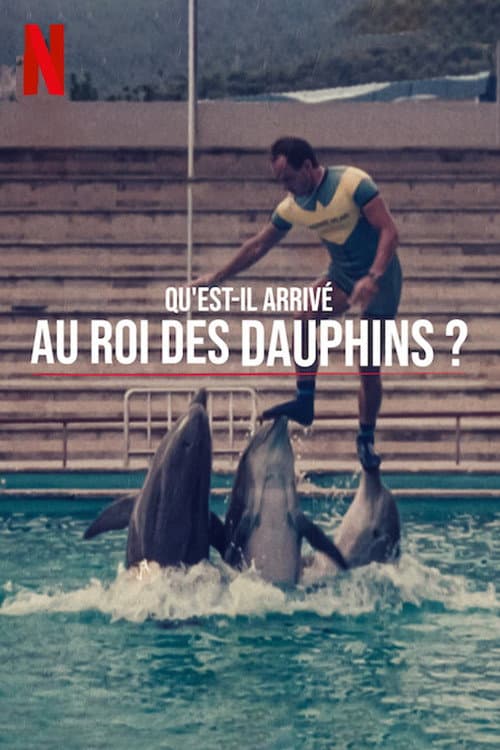 Affiche de Qu'est-il arrivé au roi des dauphins ?