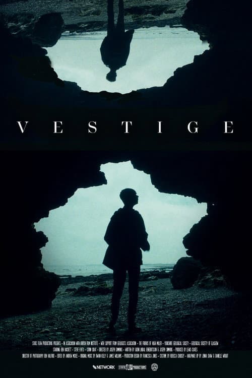 Affiche de Vestige