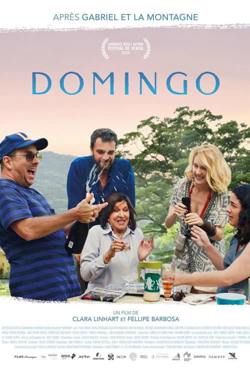 Affiche de Domingo