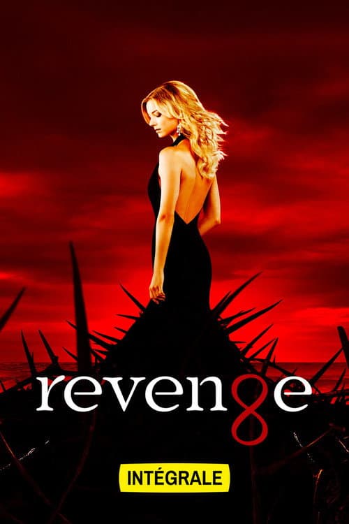 Affiche de Revenge