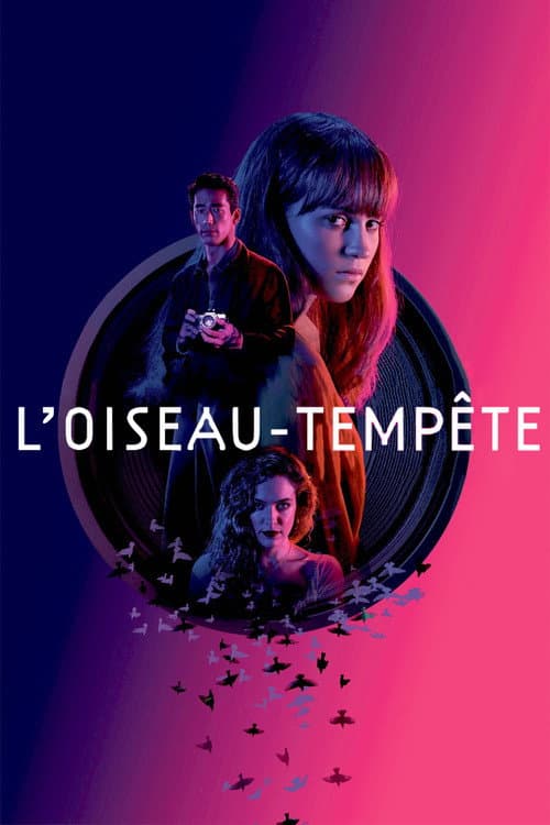 Affiche de L'Oiseau-tempête