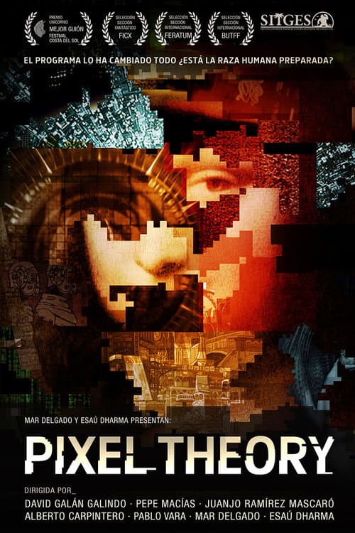 Affiche de Pixel Theory