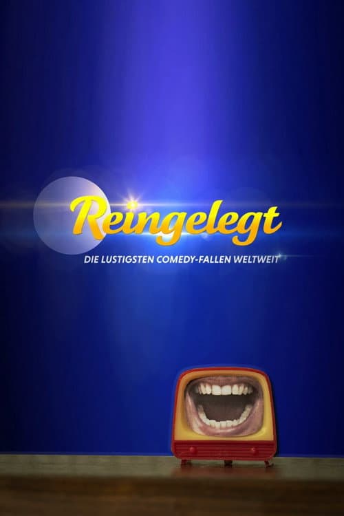 Affiche de Reingelegt