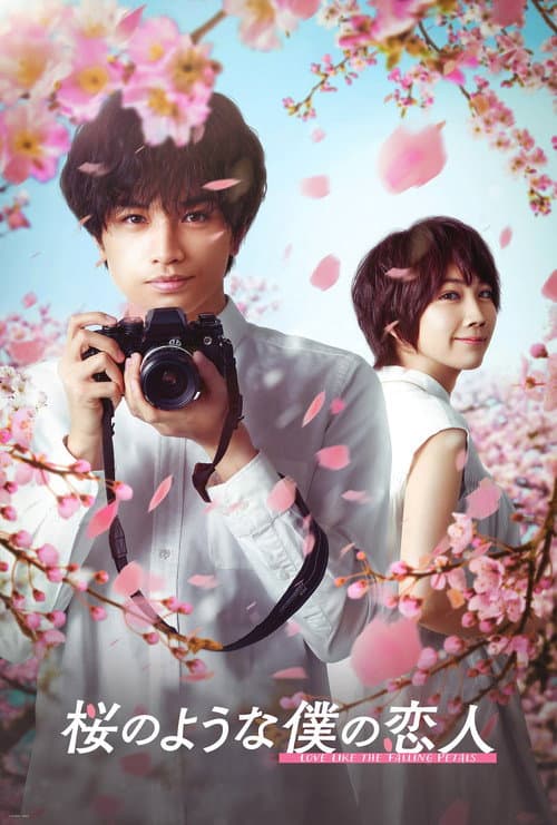 Affiche de Love Like the Falling Petals