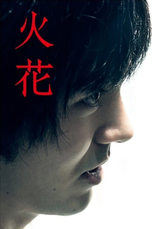 Affiche de Hibana: Spark