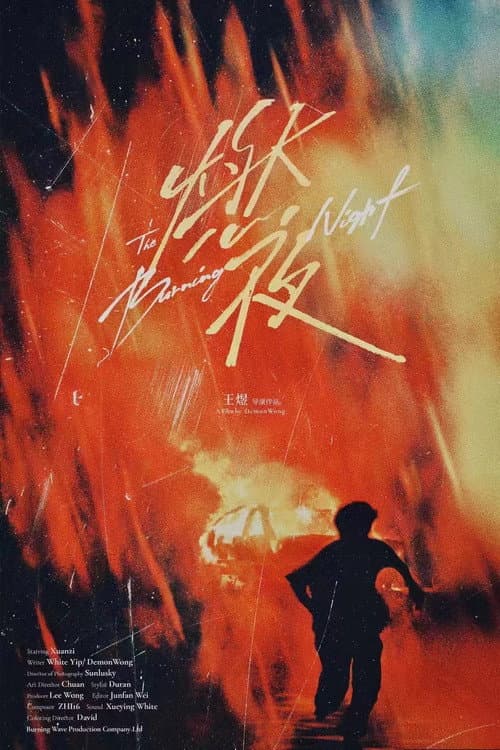 Affiche de 燃夜