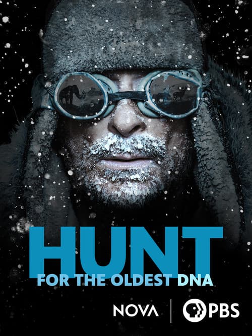 Affiche de Sur les traces du plus ancien ADN