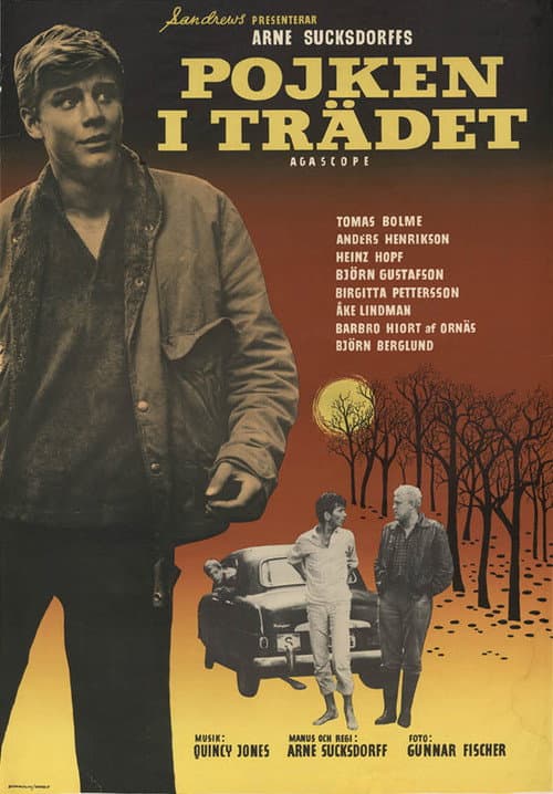 Affiche de Le garçon dans l'arbre