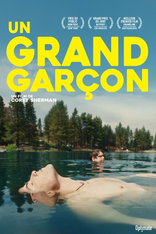 Affiche de Un grand garçon