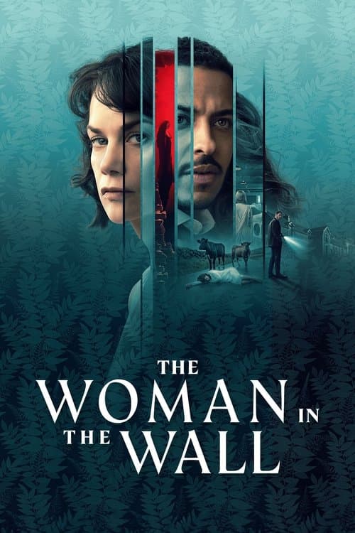 Affiche de The Woman in the Wall