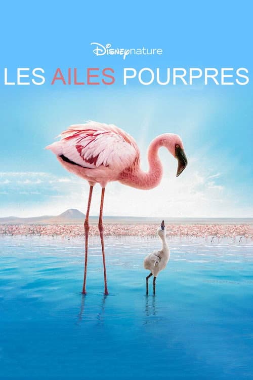Affiche de Les Ailes pourpres : Le Mystère des flamants