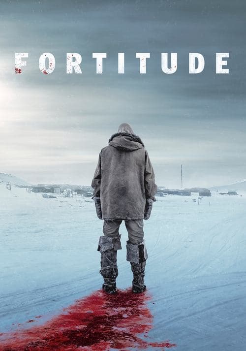 Affiche de Fortitude