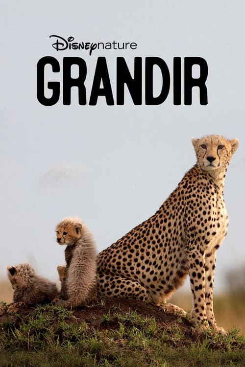 Affiche de Grandir