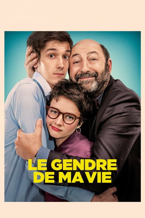 Affiche de Le Gendre de ma vie
