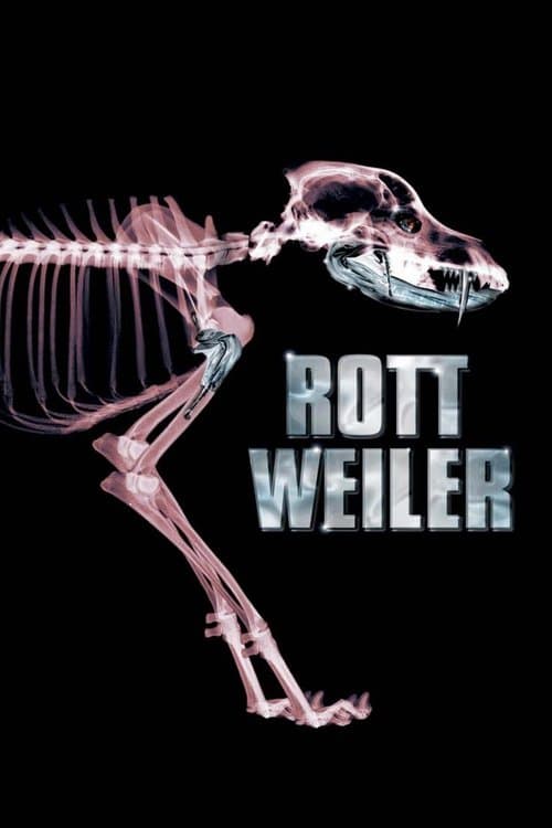 Affiche de Rottweiler