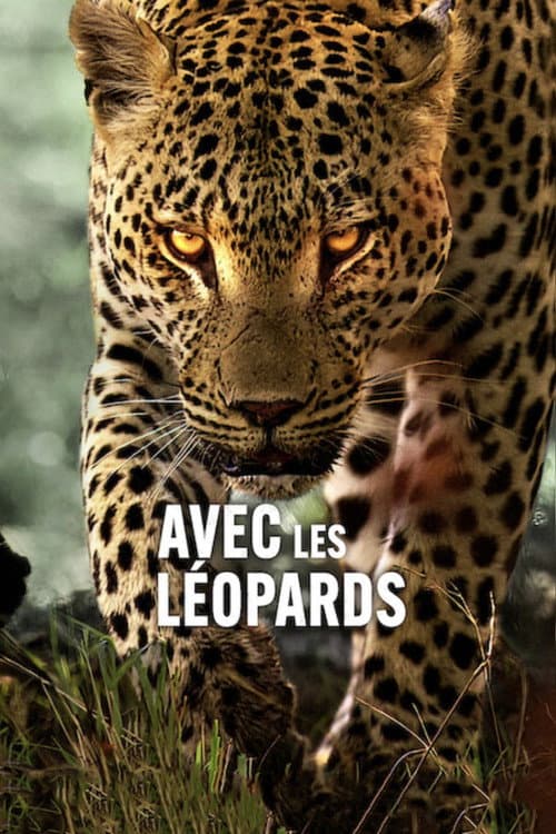 Affiche de Avec les léopards