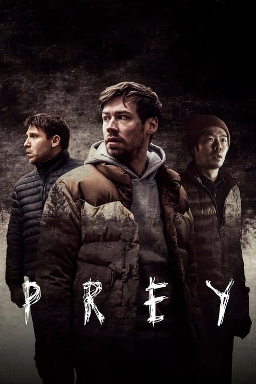 Affiche de Comme des proies