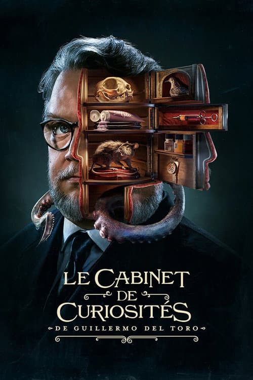 Affiche de Le Cabinet de curiosités de Guillermo del Toro