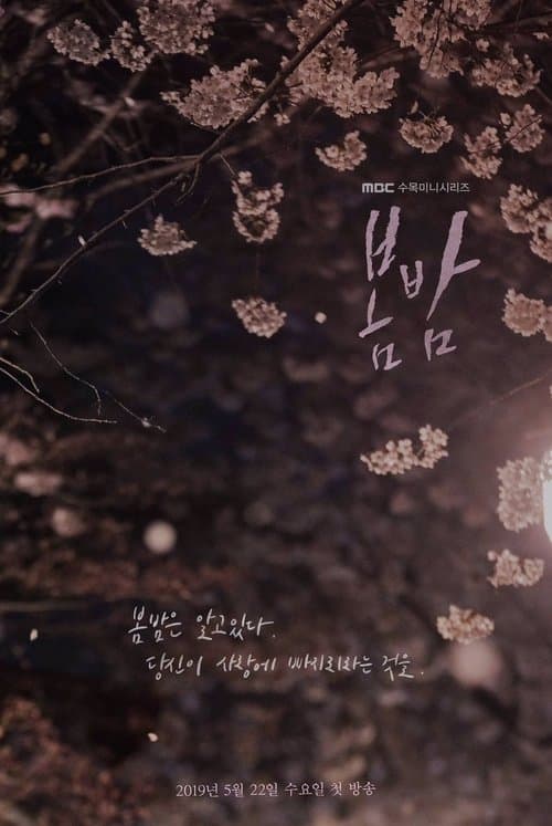 Affiche de One Spring Night