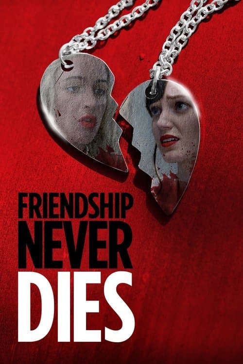 Affiche de Meilleures amies pour la vie...