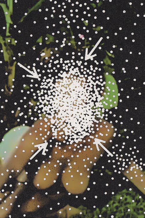 Affiche de Planetário