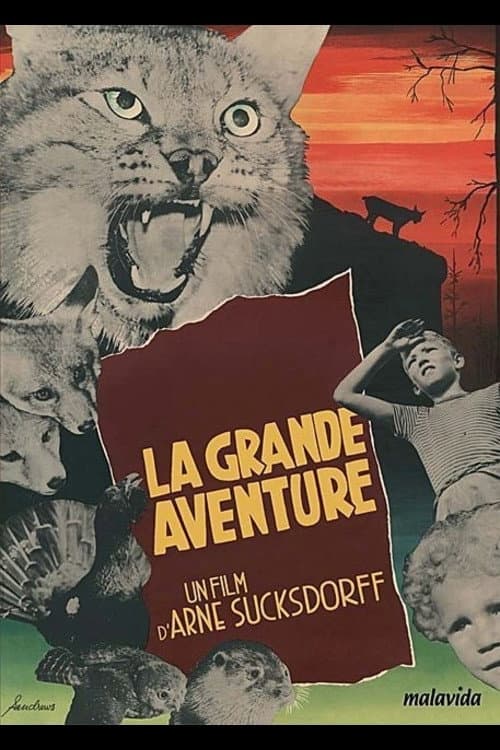 Affiche de La Grande aventure