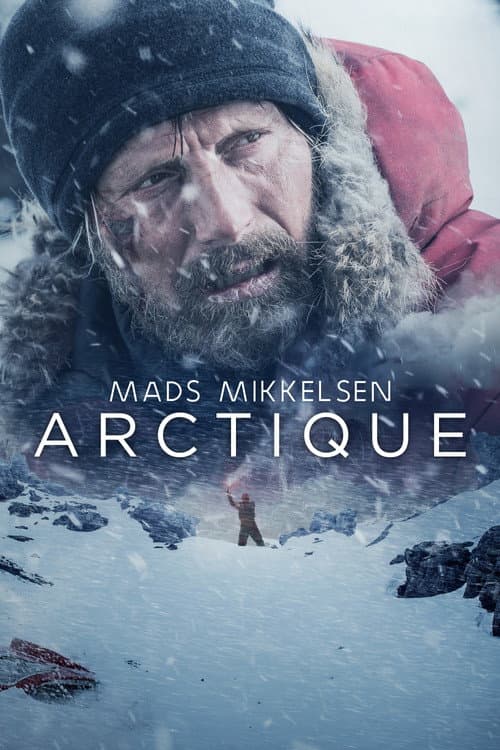 Affiche de Arctic
