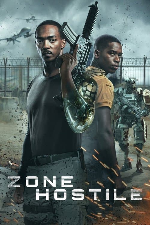 Affiche de Zone hostile