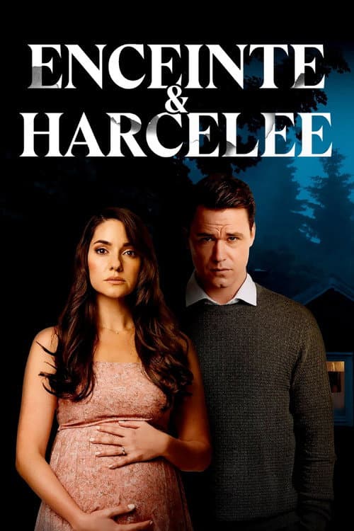 Affiche de Enceinte et Harcelée
