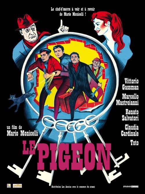 Affiche de Le Pigeon